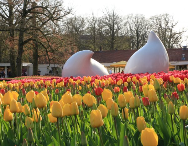 Keukenhof18_0247