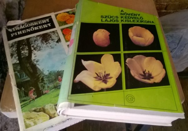 WP_20180506_11_33_57_Pro