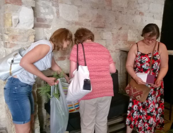 WP_20180506_11_39_47_Pro