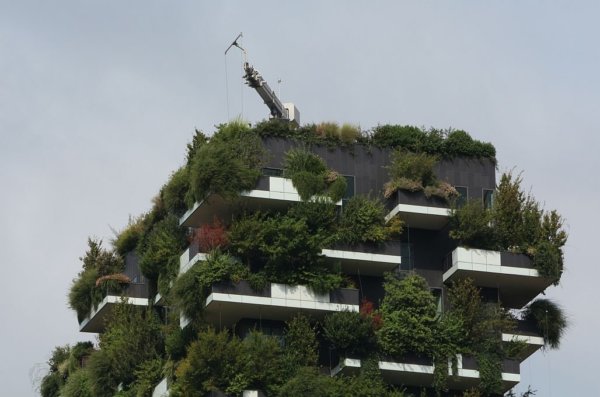 Milánó függőleges erdeje