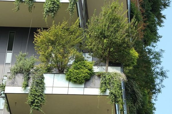 Milánó függőleges erdeje