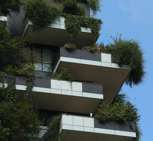 Milánó függőleges erdeje