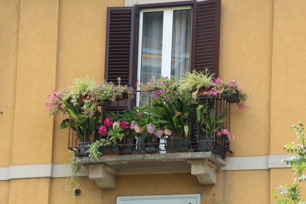 Milánó függőleges erdeje