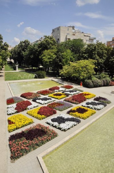 Szent István park virágai