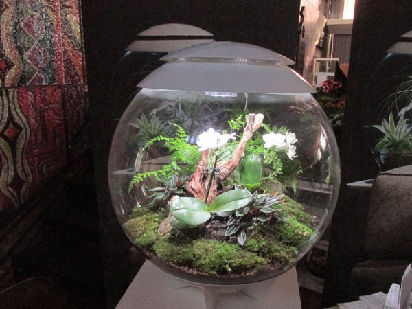 oszi-kerteszeti-kiallitas14