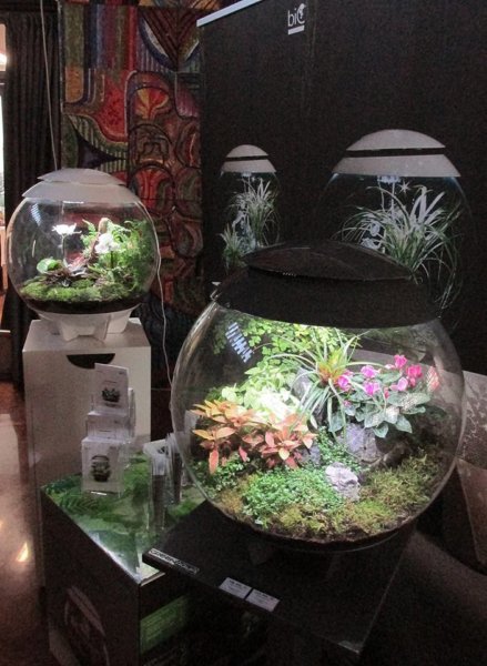 oszi-kerteszeti-kiallitas15