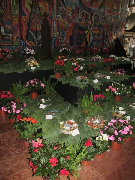 oszi-kerteszeti-kiallitas16