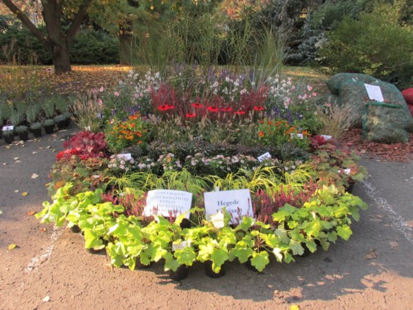 oszi-kerteszeti-kiallitas2