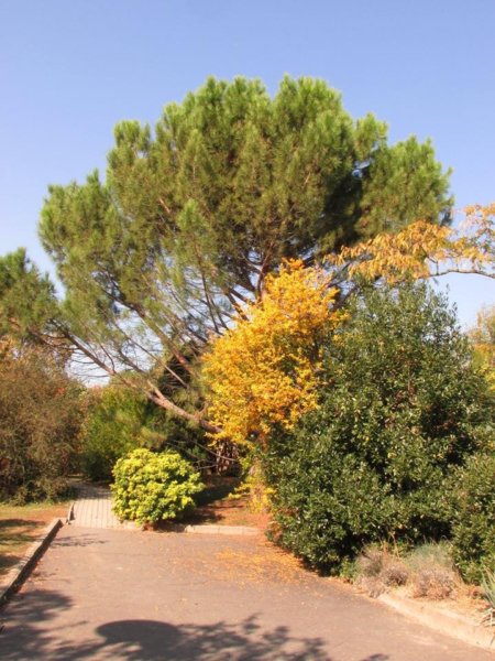 oszi-kerteszeti-kiallitas21