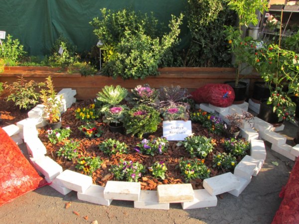 oszi-kerteszeti-kiallitas3