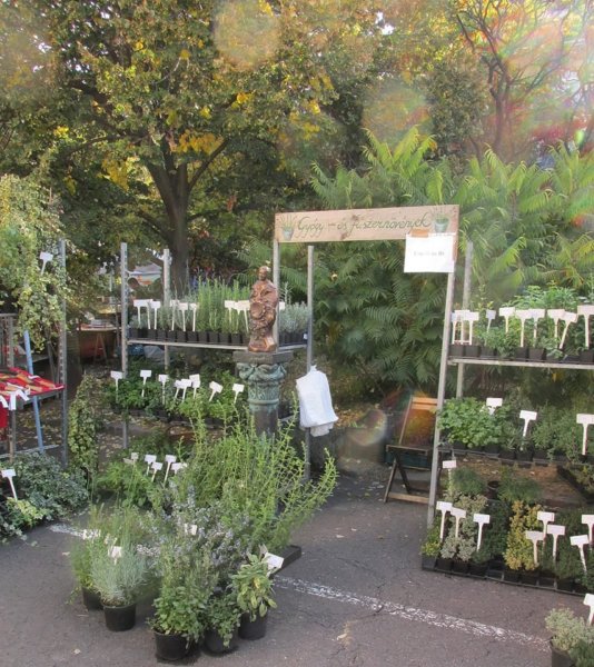 oszi-kerteszeti-kiallitas4