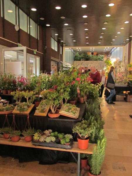 oszi-kerteszeti-kiallitas5