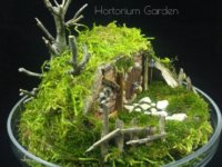 hortorium garden