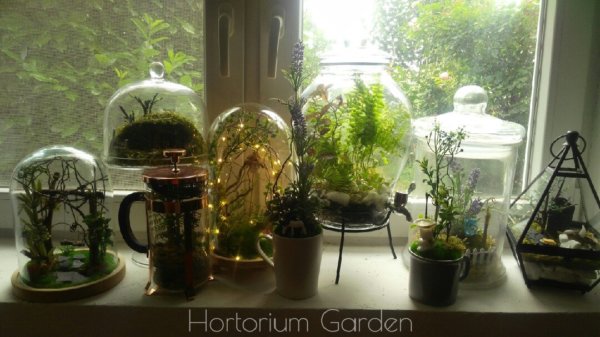 hortorium garden