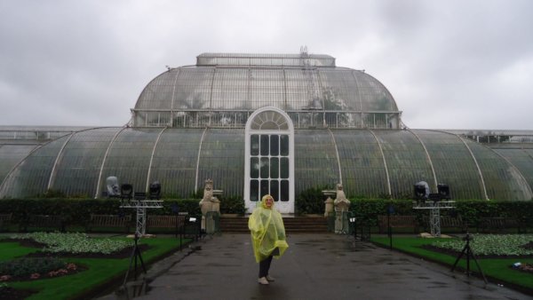 londoni Kew Gardens