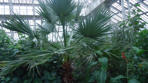 kew-gardens5