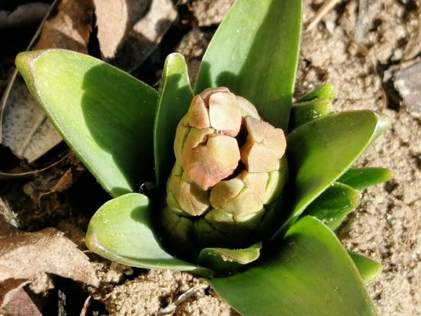 IMG_20190227_125717_1