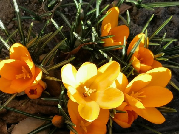 IMG_20190227_125731_1