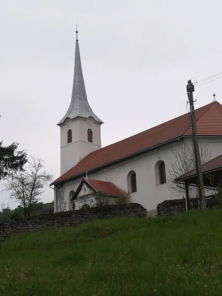 székelyföldi nárcisz