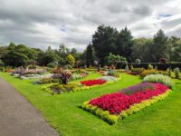 Ír Nemzeti Botanikus kert Dublinban (National Botanic Gardens - Dublin)