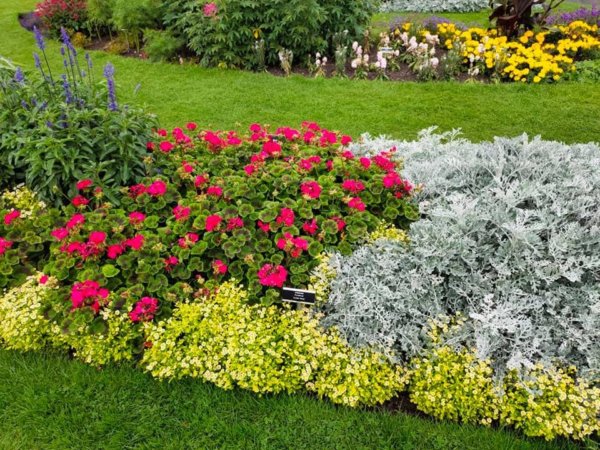 Ír Nemzeti Botanikus kert Dublinban (National Botanic Gardens - Dublin)